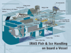 0207 IRAS Fish &amp; Ice Handling onboard a vessel